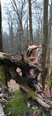 Foto des Albums: Rundwanderung auf dem großen Waldstein bei Weißenstadt
