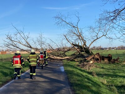 Foto des Albums: Einsatz 06/2023