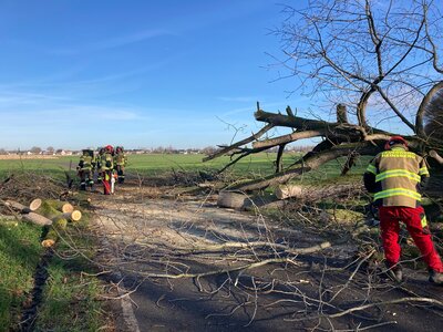 Foto des Albums: Einsatz 06/2023