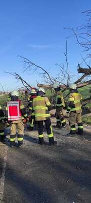 Foto des Albums: Einsatz 06/2023