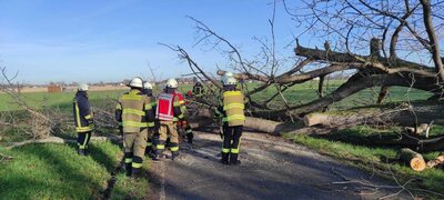 Foto des Albums: Einsatz 06/2023