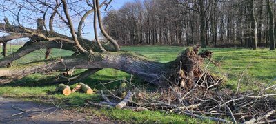 Foto des Albums: Einsatz 06/2023