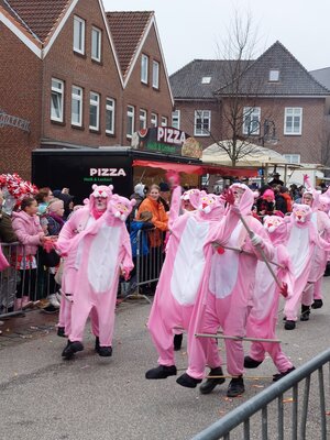 Foto des Albums: Rosenmontagsumzug in Marne