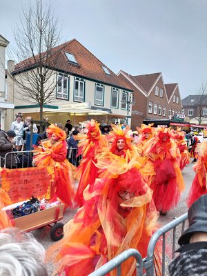 Foto des Albums: Rosenmontagsumzug in Marne