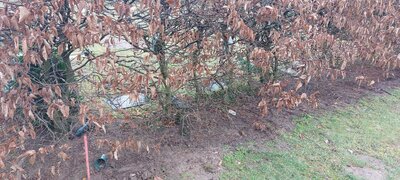 Achtlos hinterlassene Dinge sammeln sich an verschiedensten Stellen auf dem Friedhof und verschandeln das Bild. 