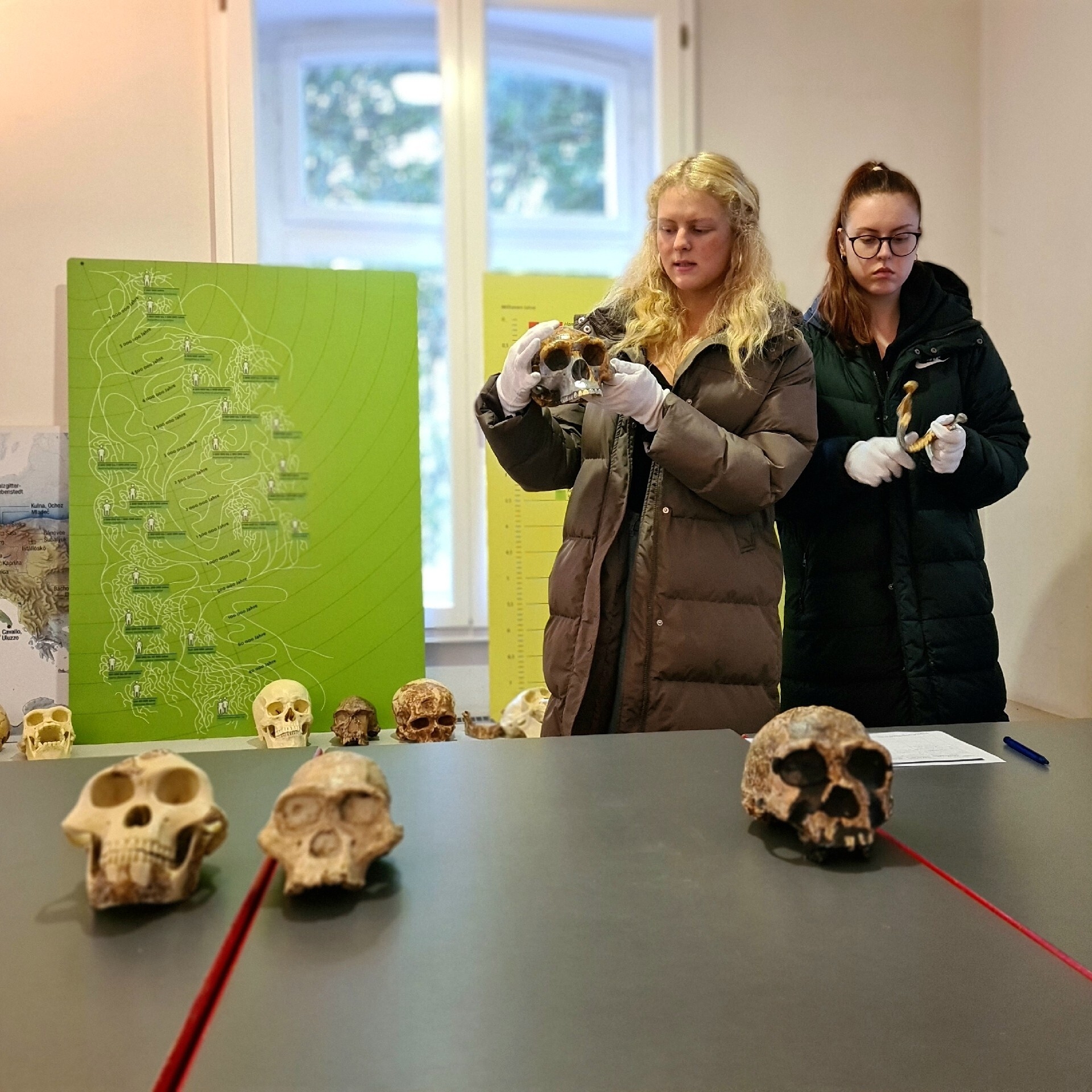 Bild der Galerie