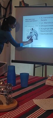 Foto des Albums: Erste Hilfe Kurs