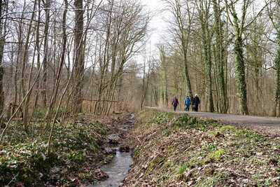 Bereich Waldkater  (Bild vergr&ouml;&szlig;ern)