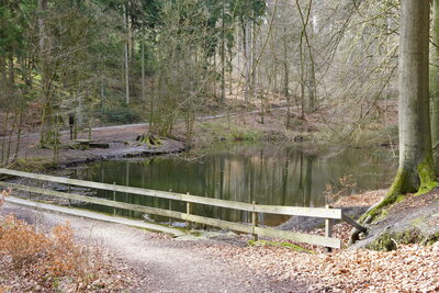 Blanke-Teich in Sicht  (Bild vergr&ouml;&szlig;ern)