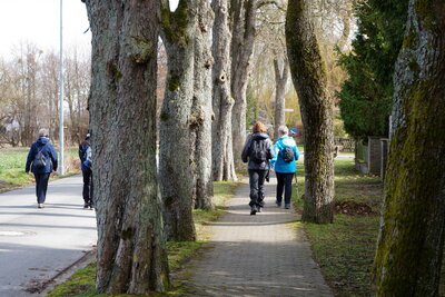 Forstmeister-Bank-Weg  (Bild vergr&ouml;&szlig;ern)