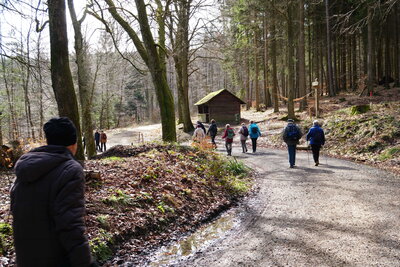 Tellerkurve mit Schutzh&uuml;tte  (Bild vergr&ouml;&szlig;ern)
