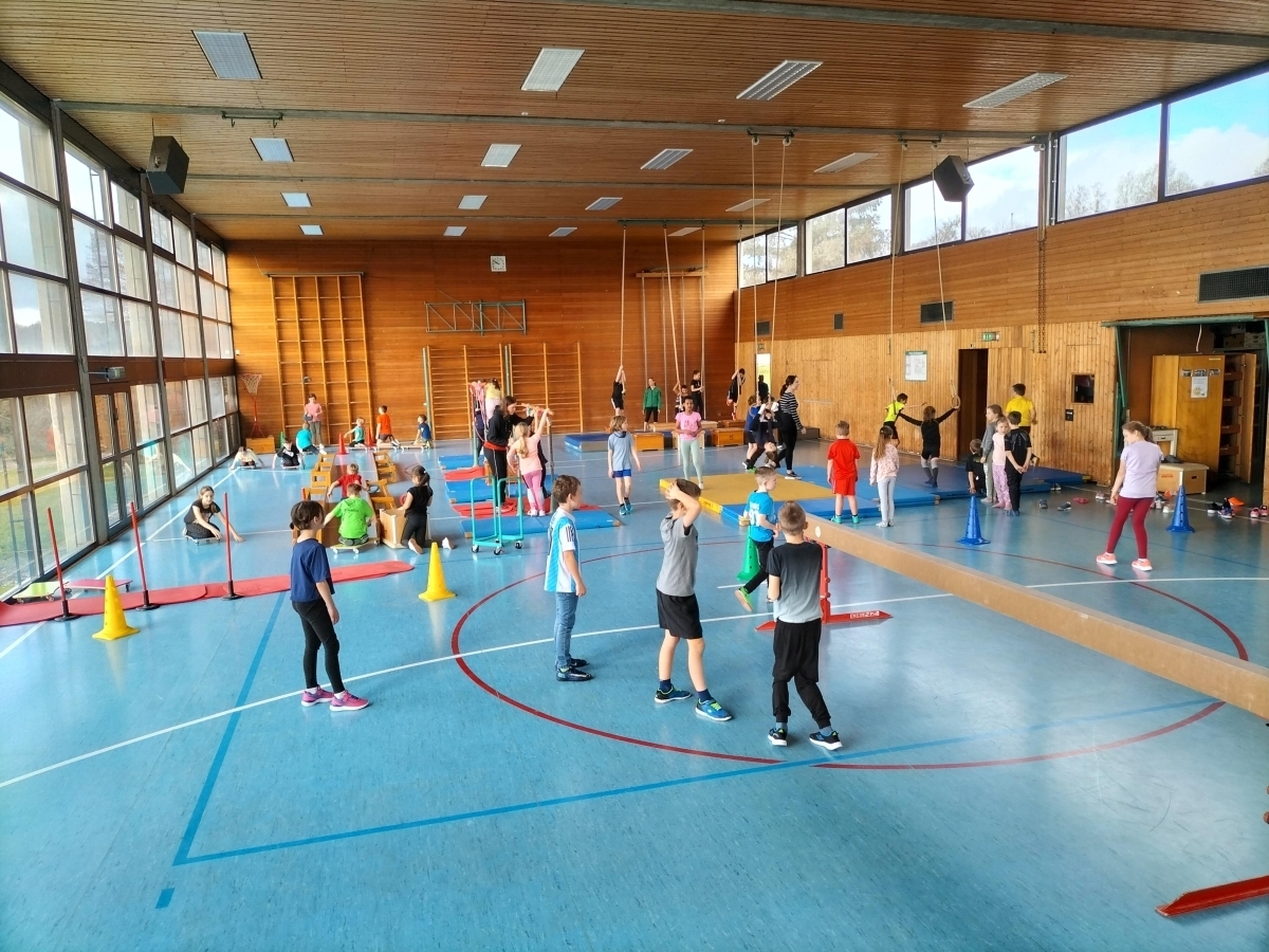 Bild der Galerie