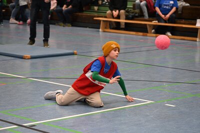Foto des Albums: Martinicup 2023