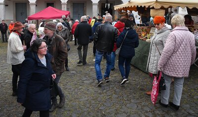 Foto des Albums: Karaseks 70. Naturmarkt