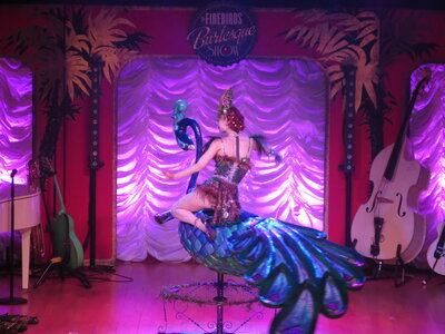 Foto des Albums: FIREBIRDS BURLESQUE SHOW