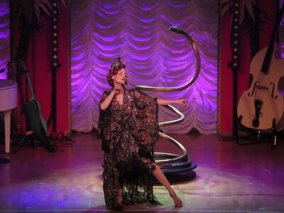 Foto des Albums: FIREBIRDS BURLESQUE SHOW