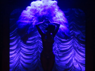 Foto des Albums: FIREBIRDS BURLESQUE SHOW