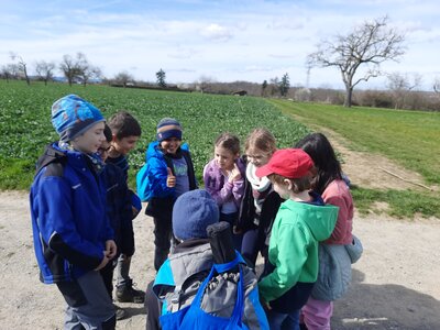 Foto des Albums: Erlebnispädagogik Klasse 3