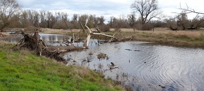 Foto des Albums: Frühlingswanderung (25. 03. 2023)