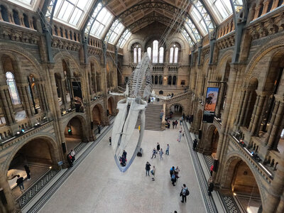 Foto des Albums: Londonfahrt_2023_M10