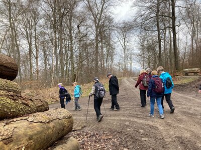 Oberhalb der Bantorfer H&ouml;he  (Bild vergr&ouml;&szlig;ern)