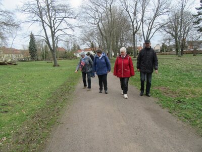 Bei der Fl&uuml;hlingswanderung des KHV bestaunten die Mitglieder die Tulpen im burgpark , die gut gedeihen  (Bild vergr&ouml;&szlig;ern)