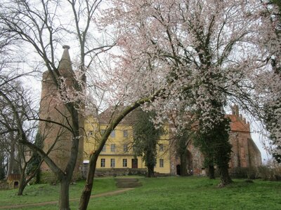 Der Fr&uuml;hling h&auml;lt Einzug im Burgpark  (Bild vergr&ouml;&szlig;ern)