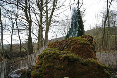 Der Wasserbaum  (Bild vergr&ouml;&szlig;ern)