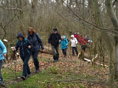 Auf dem Kammweg  (Bild vergr&ouml;&szlig;ern)