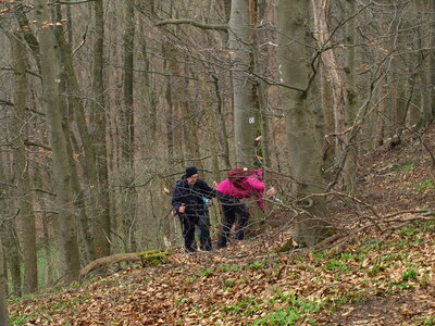 Schwieriger Aufstieg  (Bild vergr&ouml;&szlig;ern)
