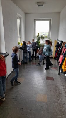 Foto des Albums: Osterhasensuche