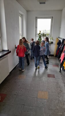 Foto des Albums: Osterhasensuche