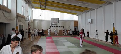 Foto des Albums: Geballtes Fachwissen von verschiedenen Stielrichtungen der Kampfkünste in der Kampfkunstschule Artern e.V.