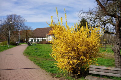 Empelder Park  (Bild vergr&ouml;&szlig;ern)