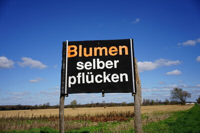 Heute noch nicht  (Bild vergr&ouml;&szlig;ern)