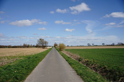 It&prime;s a long long road to wander all alone  (Bild vergr&ouml;&szlig;ern)