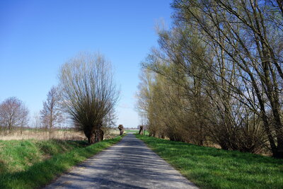 Noch ganz am Anfang  (Bild vergr&ouml;&szlig;ern)