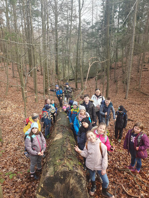 Foto des Albums: Wandertag der Klasse 4b