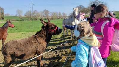 Foto des Albums: Osterferien im Hort 23