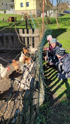 Foto des Albums: Osterferien im Hort 23