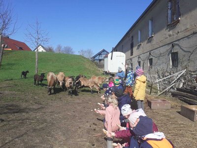 Foto des Albums: Osterferien im Hort 23