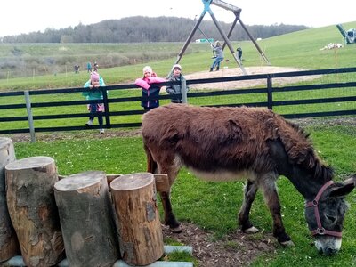 Foto des Albums: Osterferien im Hort 23