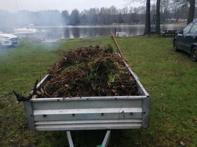 Vorschaubild: Trotz 2 großer Anhänger laub im Herbst schon wieder so viel.....