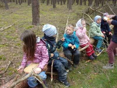 Foto des Albums: Unser kleines Waldprojekt (30. 05. 2023)