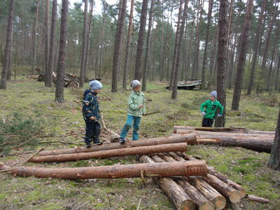 Foto des Albums: Unser kleines Waldprojekt (30. 05. 2023)