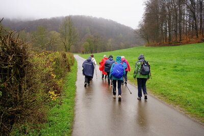 Zur&uuml;ck in den S&uuml;ntel  (Bild vergr&ouml;&szlig;ern)