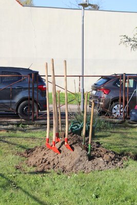Das Arbeitsger&auml;t steht bereit.  (Bild vergr&ouml;&szlig;ern)