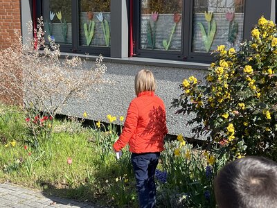 Foto des Albums: Da sind die Frühblüher! (19.04.2023)