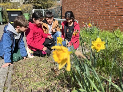 Foto des Albums: Da sind die Frühblüher! (19.04.2023)