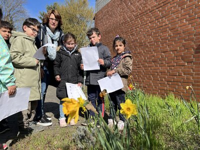 Foto des Albums: Da sind die Frühblüher! (19.04.2023)